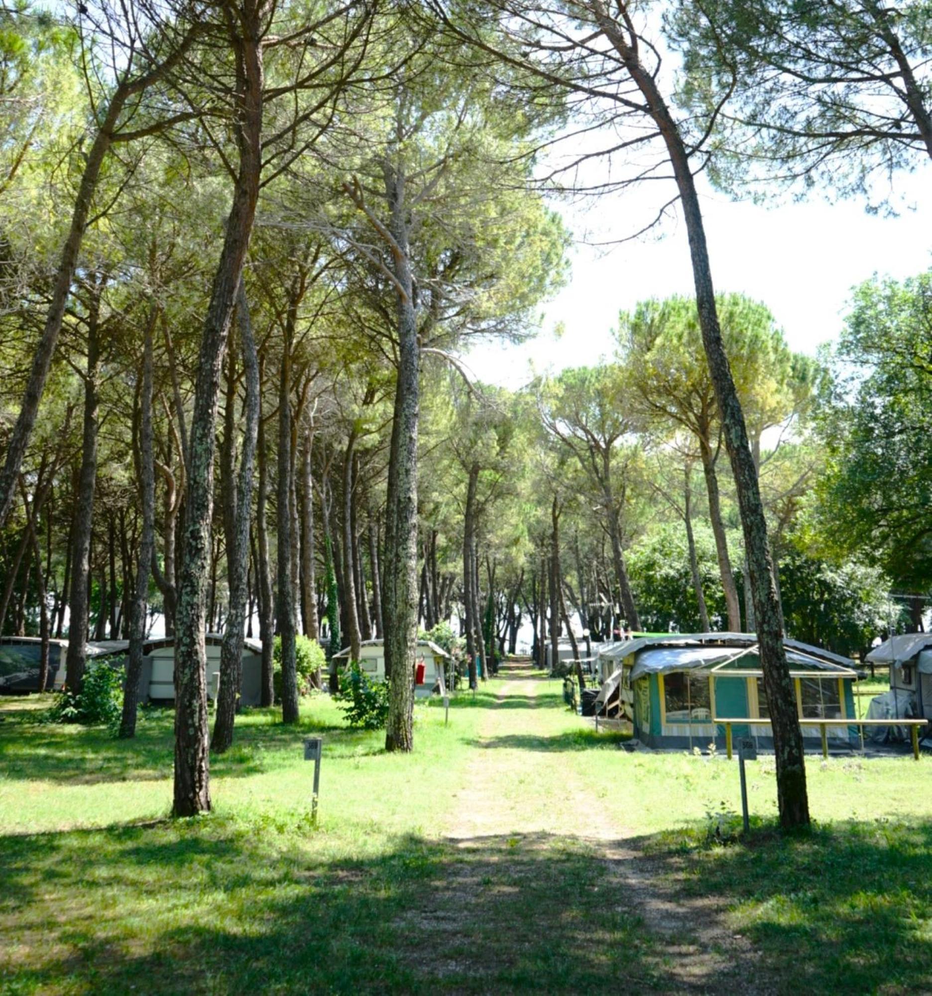 Belvedere Pineta Camping Village Grado ภายนอก รูปภาพ