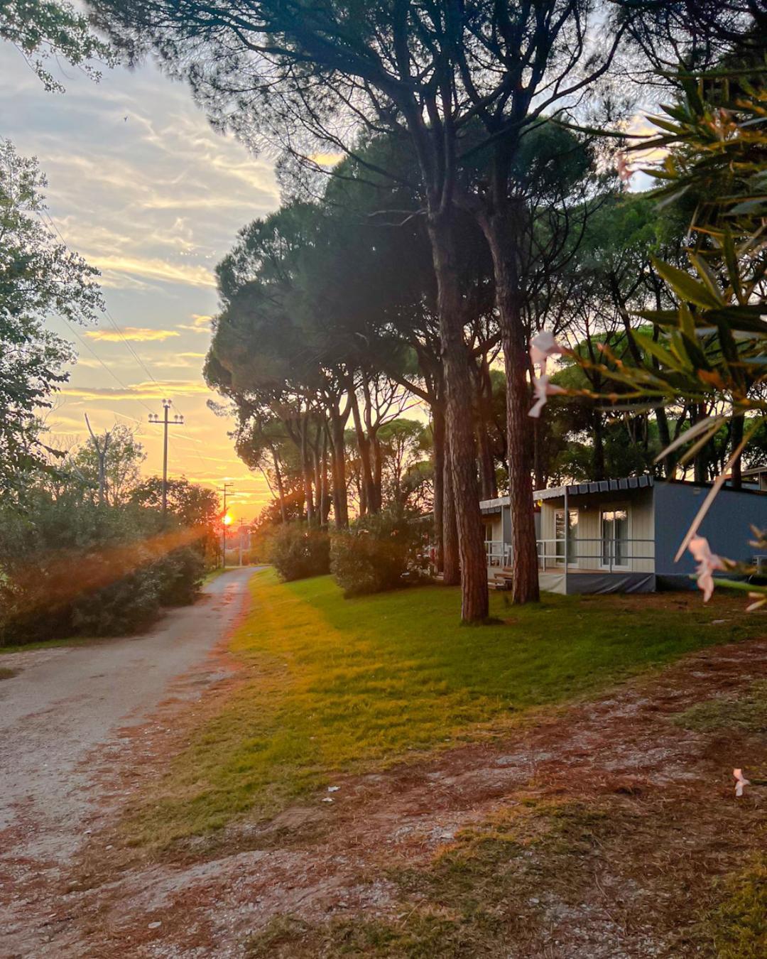 Belvedere Pineta Camping Village Grado ภายนอก รูปภาพ