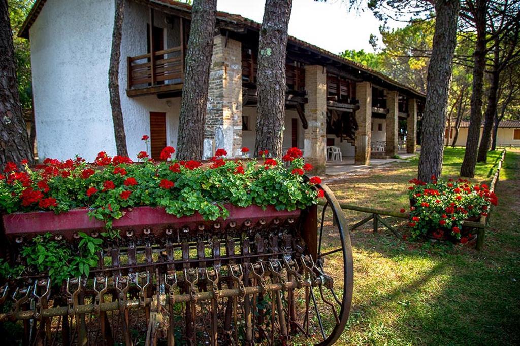 Belvedere Pineta Camping Village Grado ภายนอก รูปภาพ