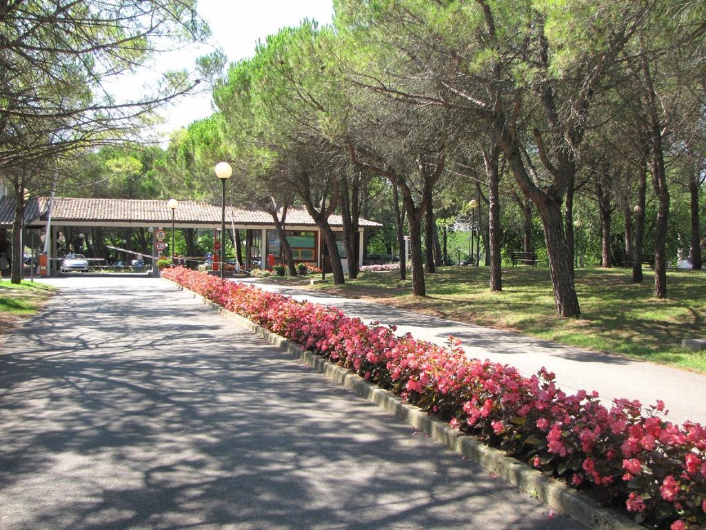Belvedere Pineta Camping Village Grado ภายนอก รูปภาพ